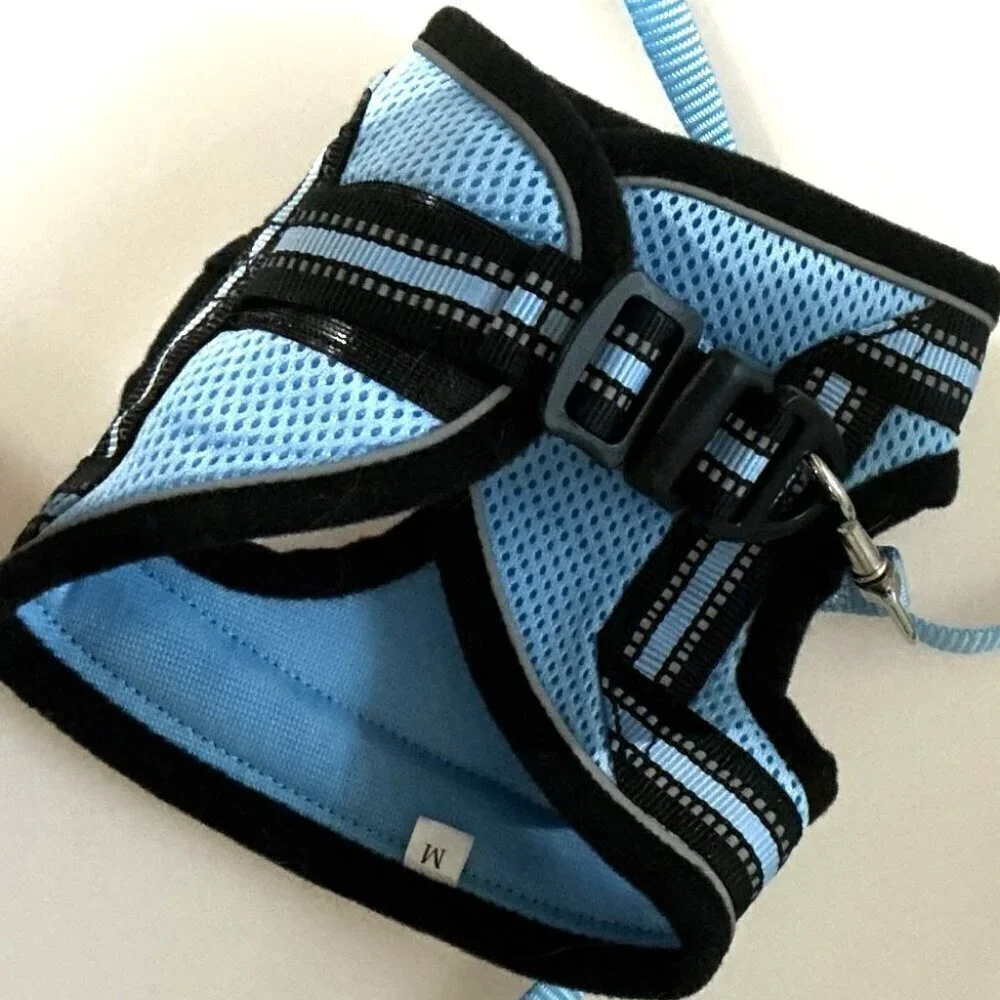 CAT HARNESS AND LEASH SET ADJUSTABLE BLUE MEDIUM